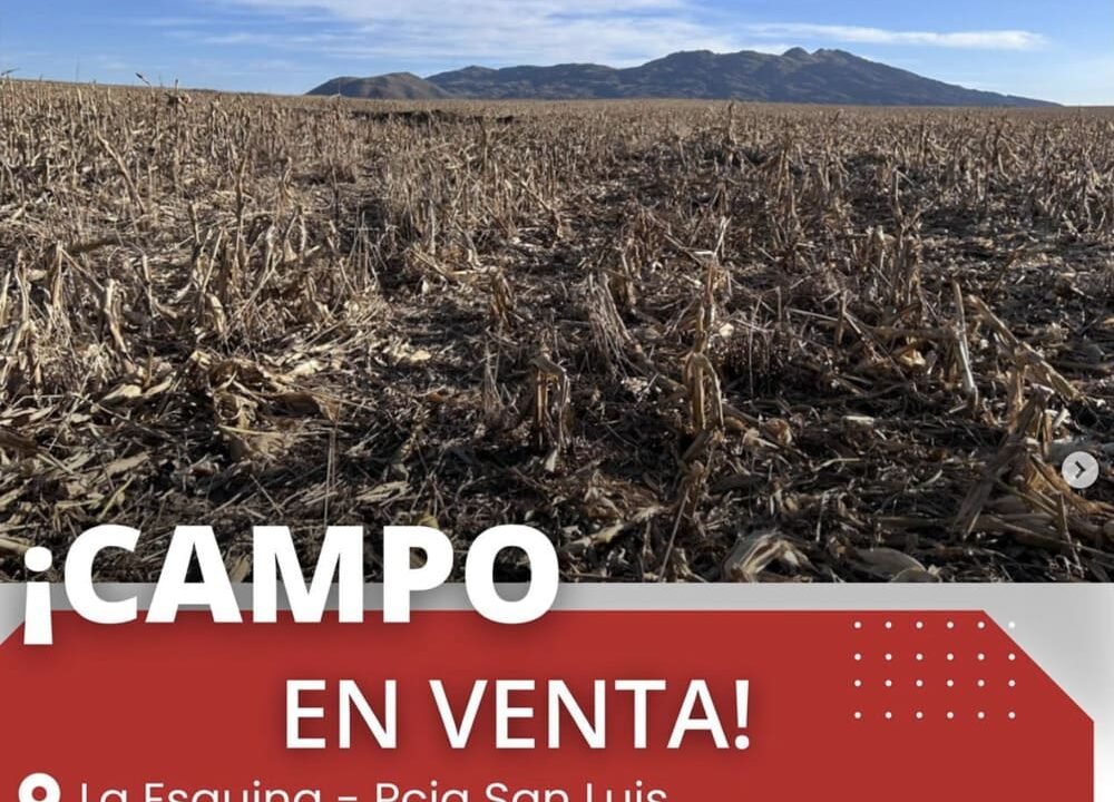 campo816has_laesquina_sl