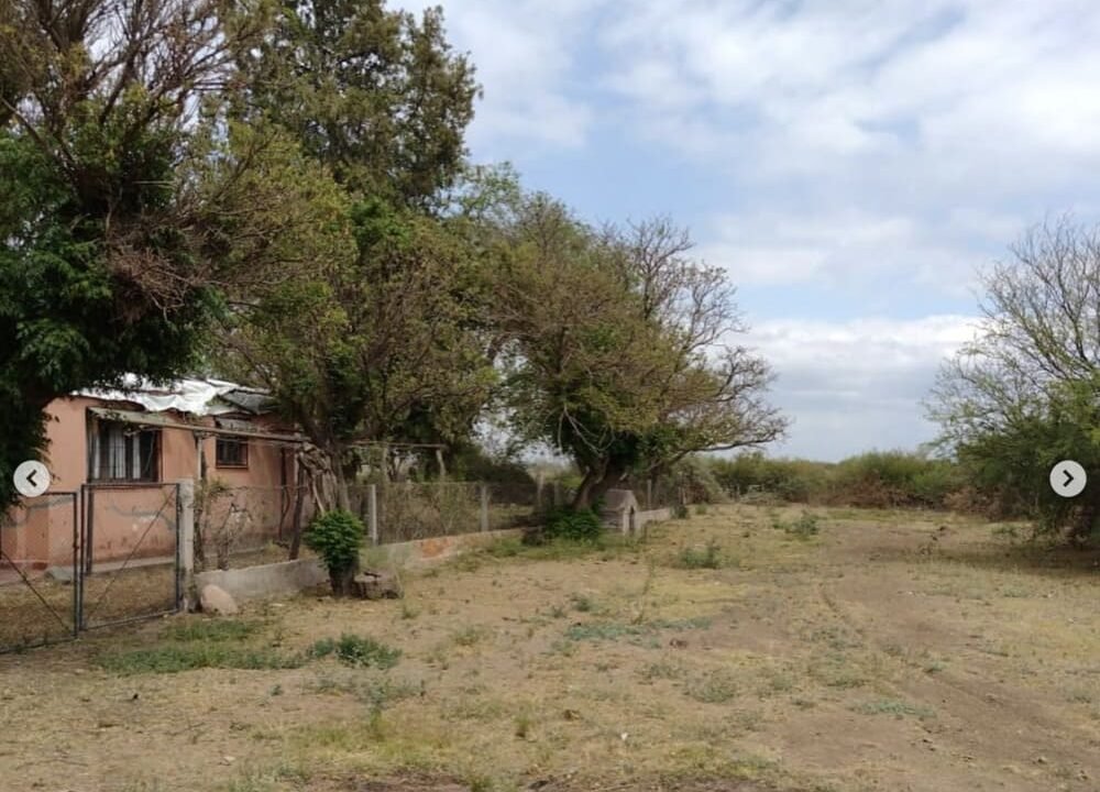 campo_318has_concaran1